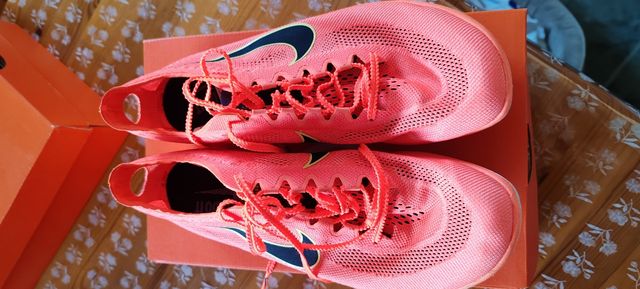 Nike Zoom Dragonfly 41