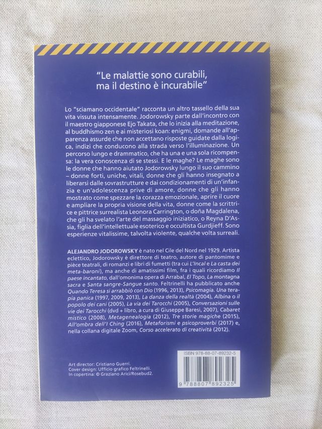 Libro "il maestro e le maghe"