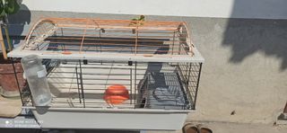 gabbia per uccelli artigianale