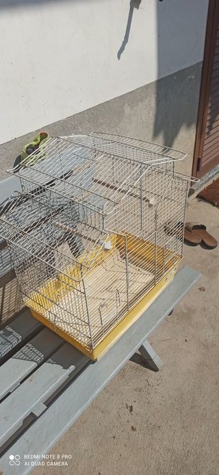Gabbia per uccelli