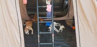 ⚠️Tienda techo⚠️ Pocas unidades