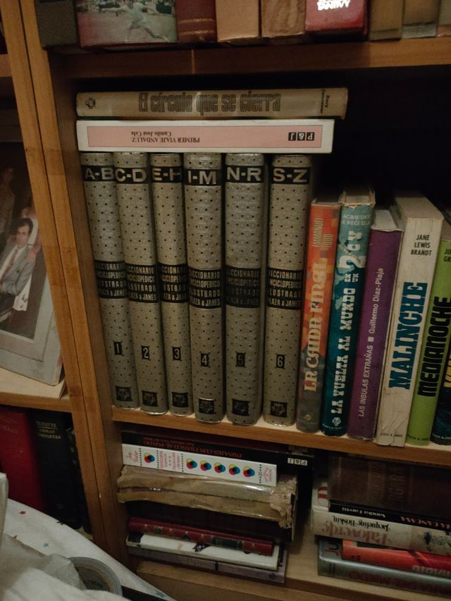 Diccionario enciclopedico ilustrado 