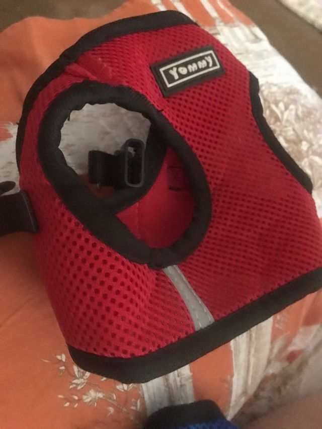 Mascota arnes talla S