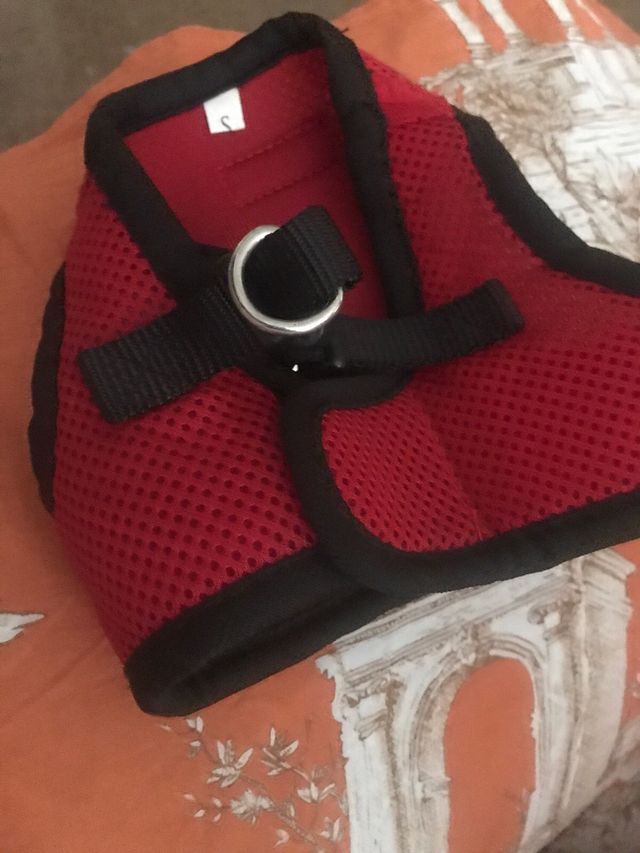 Mascota arnes talla S