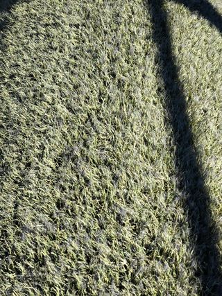 Césped artificial reciclado