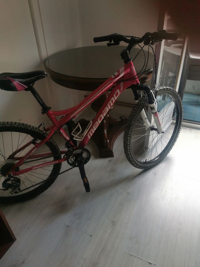 Bicicleta de montaña