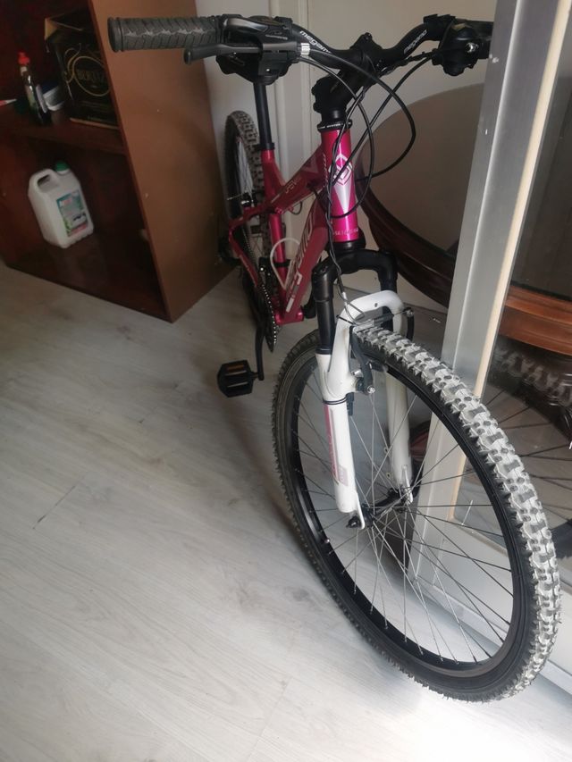 Bicicleta de montaña