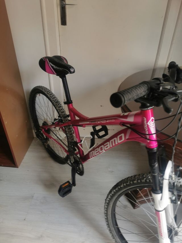 Bicicleta de montaña