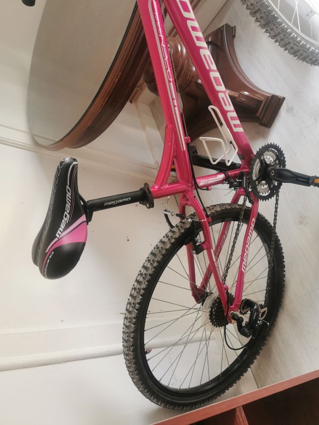 Bicicleta de montaña