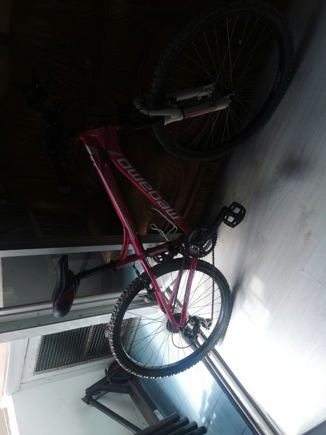 Bicicleta de montaña