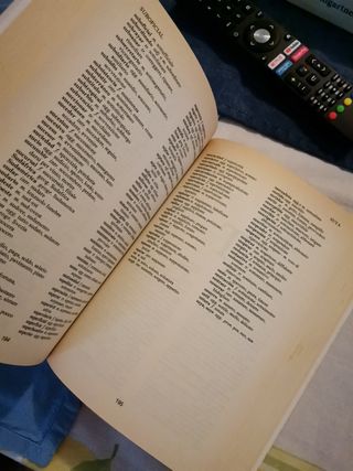 Diccionario Español Italiano