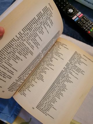 Diccionario Español Italiano