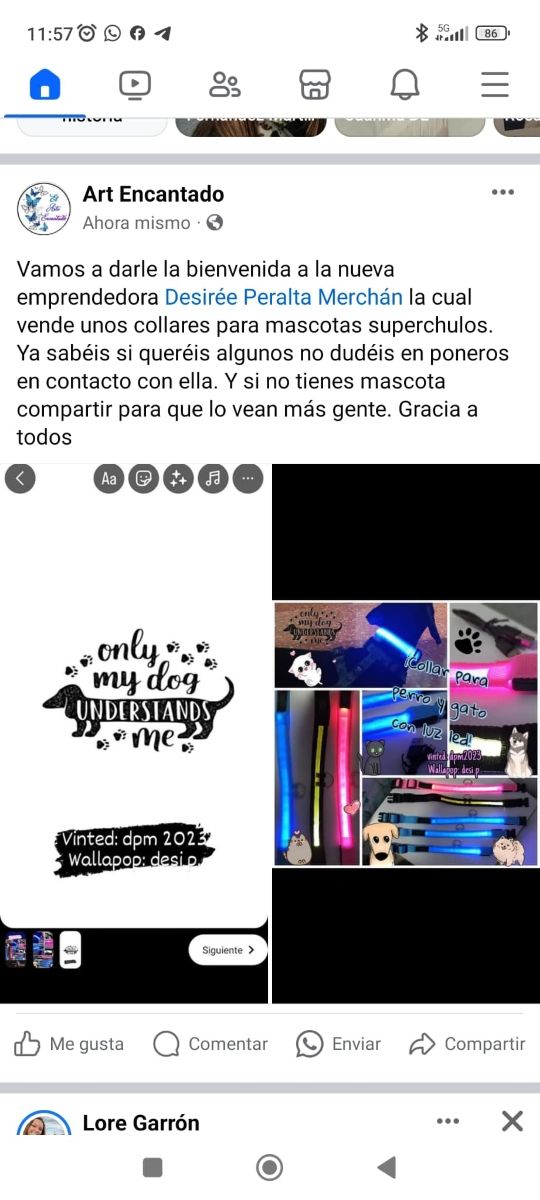 Collar luz Led, para perros y gatos