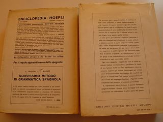 Diccionario fraseológico Italiano Español