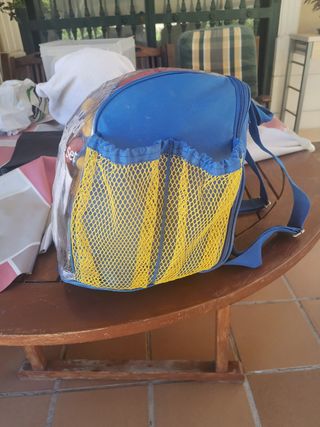Juego patines chicco