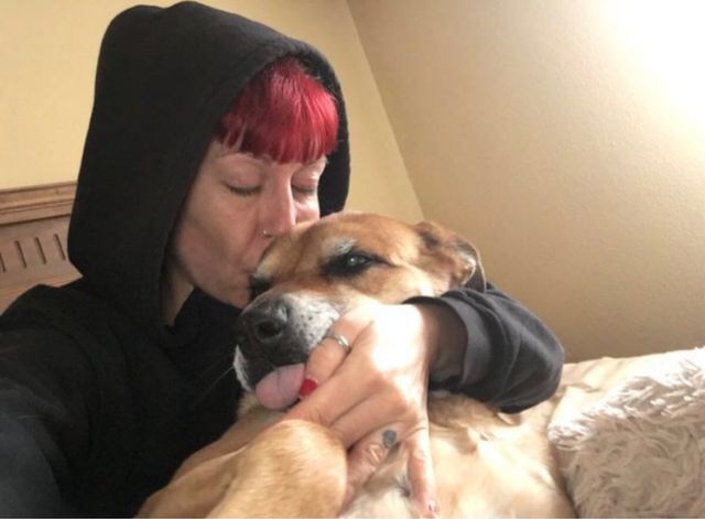 Paseo o cuido de tu perro