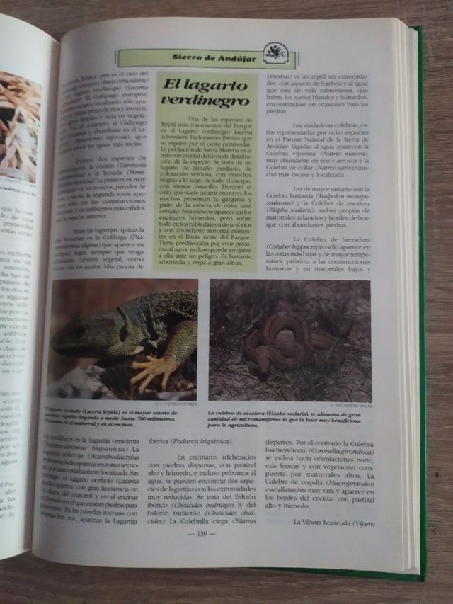 Parques naturales y espacios protegidos de Jaén