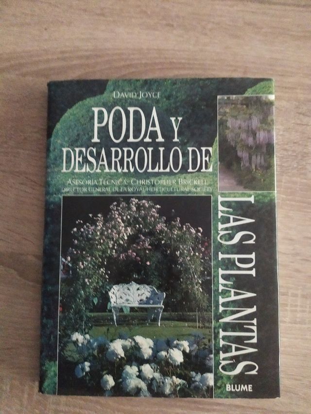 Poda y desarrollo de las plantas