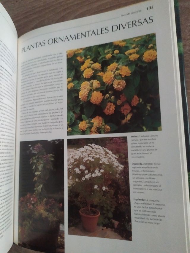 Poda y desarrollo de las plantas