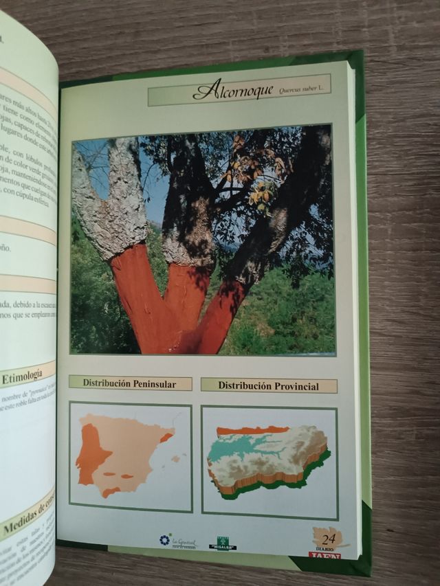 Árboles y arbustos de Jaén