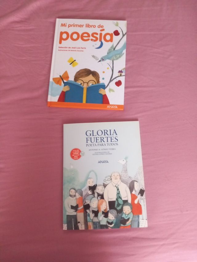 2 libros Poesía y Gloria Fuertes
