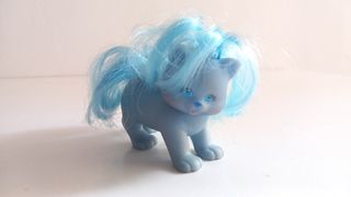 Gatito little pretty kittens