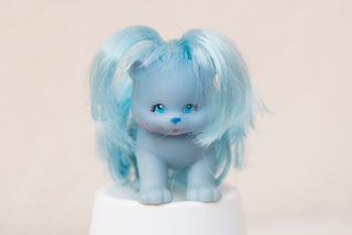 Gatito little pretty kittens