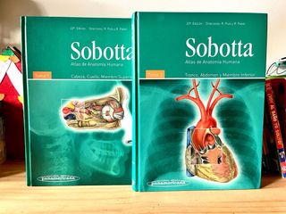 Atlas anatomia Sobotta