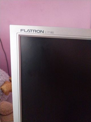 Pantalla ordenador LG