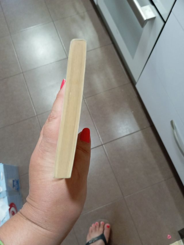 Las ratas Miguel Delibes