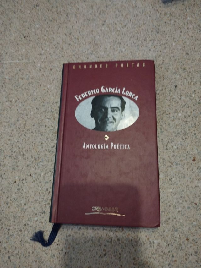 Antología poética de Federico García L