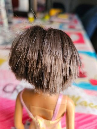 Barbie Morena de años 90