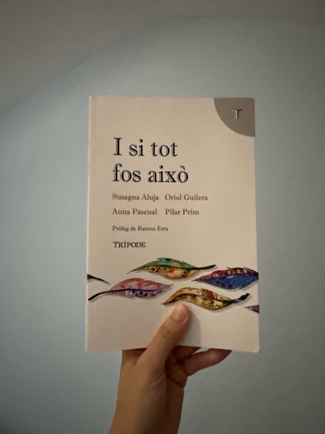 ‘I si tot fos això’