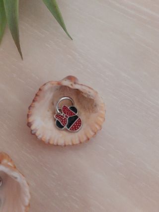 Lote Charms 