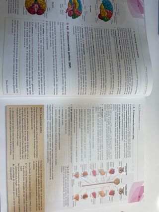 Batxillerat Llibre Psicologia I Sociologia