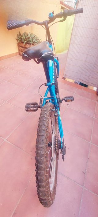 Bicicleta niño 20 pulgadas.