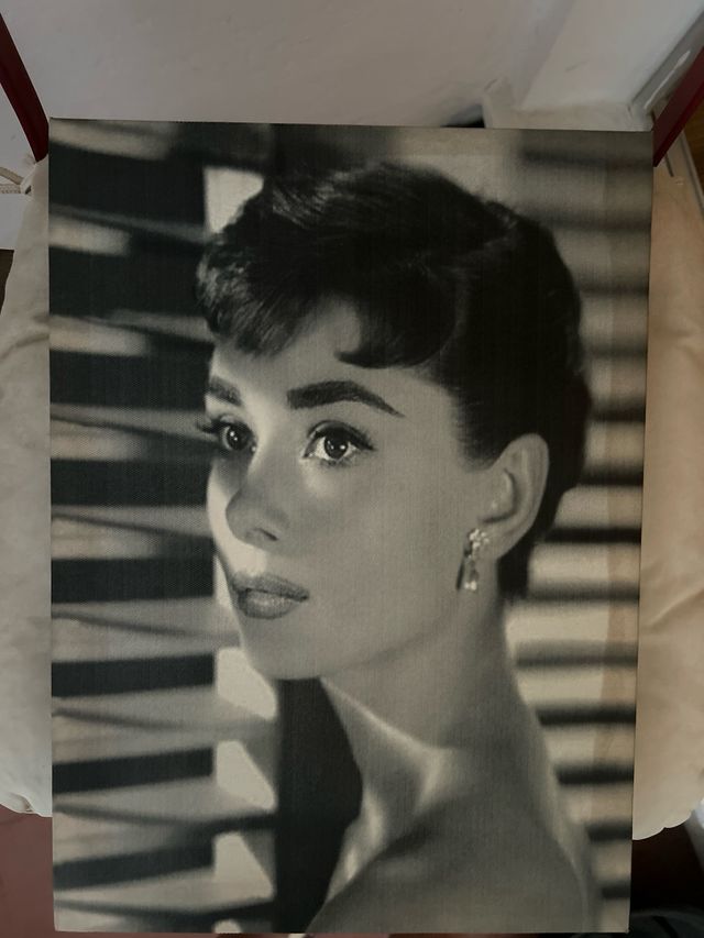 Cuadro/ lámina decoración Audrey Hepburn