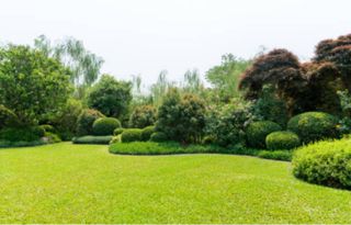 jardineria