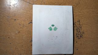 Foto recordatoria juan carlos