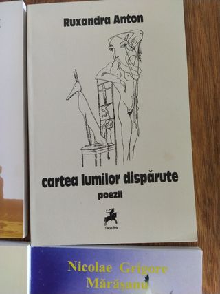 Lote poesía rumana