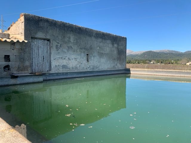 Terreno en venta Sa Pobla.