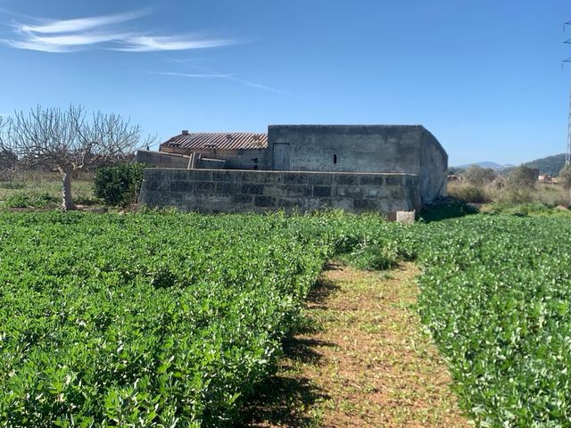 Terreno en venta Sa Pobla.