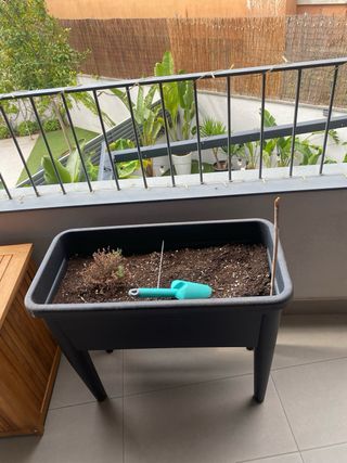 Huerto urbano como nuevo