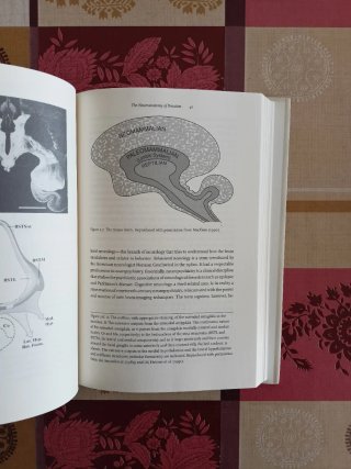 The Soul In The Brain