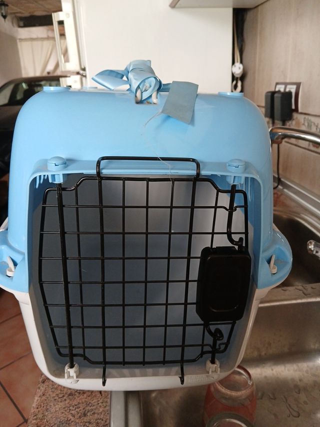 Transportin animales