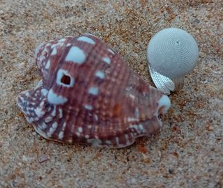 Anillo ajustable de plata
