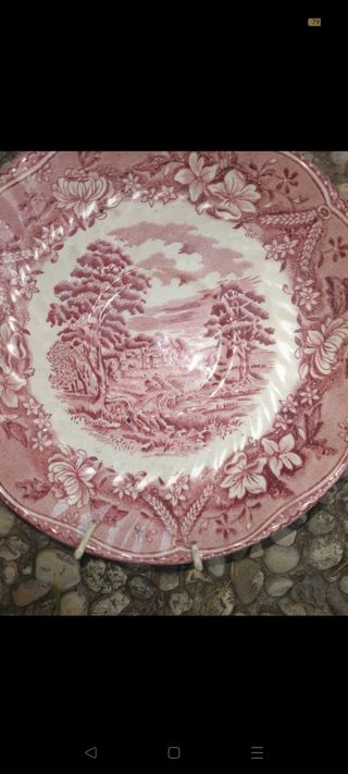 Piatti Castle barratts inglese rosa