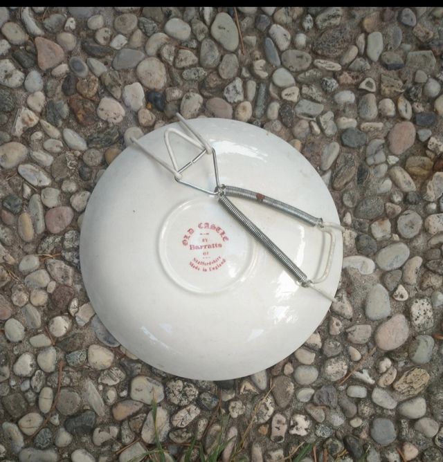 Piatti Castle barratts inglese rosa