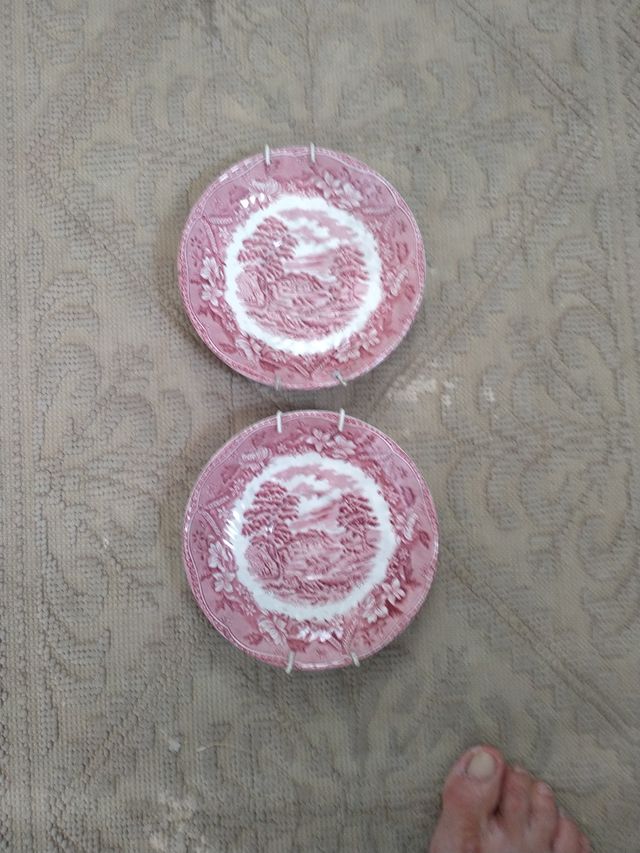 Piatti Castle barratts inglese rosa