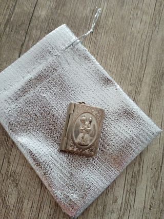 Libro antiguo alpaca